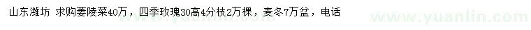 求购萎陵菜、四季玫瑰、麦冬