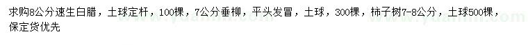 求购速生白腊、垂柳、柿子树