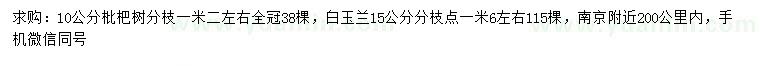 求购10公分枇杷树、15公分白玉兰