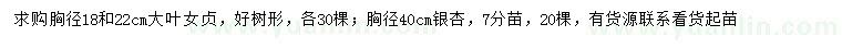 求购胸径18、22公分大叶女贞、40公分银杏