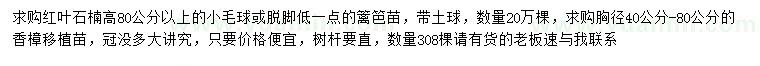 求购高80公分以上红叶石楠、胸径40-80公分香樟移栽苗