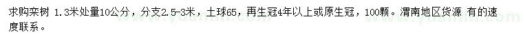 求购1.3米处量10公分栾树