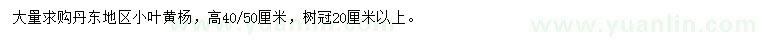 求购高40、50公分小叶黄杨