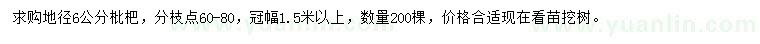 求购地径6公分枇杷