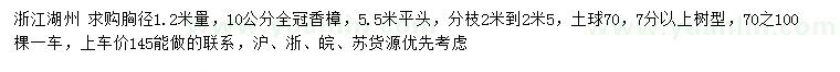 求购胸径1.2米量10公分全冠香樟