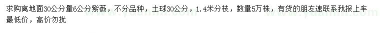 求购离地面30公分量6公分紫薇