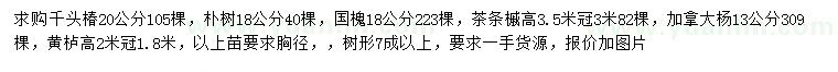 求购千头椿、朴树、国槐等