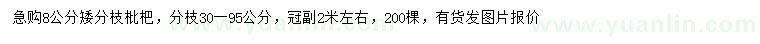 求购8公分矮分枝枇杷