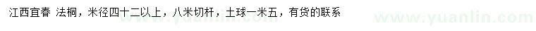 求购米径42公分以上法桐