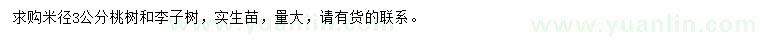 求购米径3公分桃树、李子树