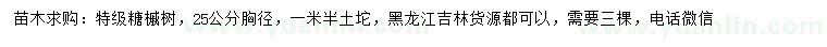 求购胸径25公分特级糖槭树