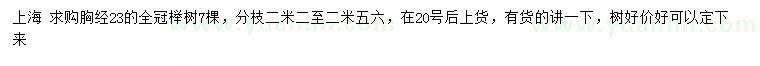 求购胸径23公分全冠榉树