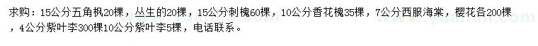 求购五角枫、刺槐、香花槐等