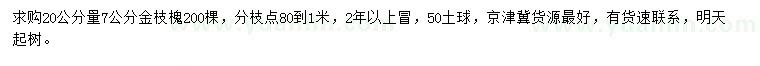 求购20公分量7公分金枝槐