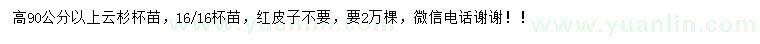 求购高90公分以上云杉