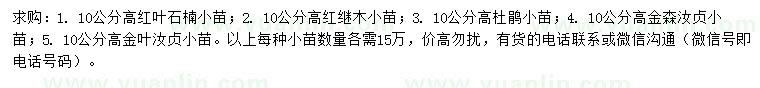 求购红叶石楠小苗、红继木小苗、杜鹃小苗等