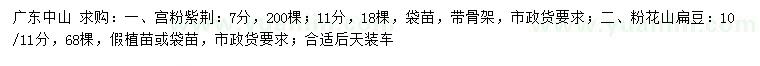 求购7、11公分宫粉紫荆、10、11公分粉花山扁豆