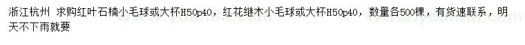 求购高50公分红叶石楠小毛球、红花继木小毛球