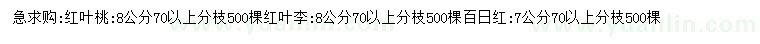 求购红叶桃、红叶李、百日红