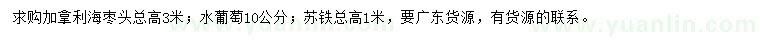 求购加拿利海枣、水葡萄、苏铁