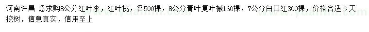 求购红叶李、红叶桃、青叶复叶槭等