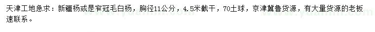 求购胸径11公分新疆杨或窄冠毛白杨