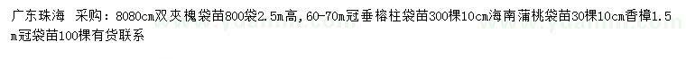 求购双夾槐袋苗、垂榕柱袋苗、海南蒲桃袋苗等