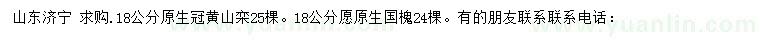 求购18公分原生冠黄山栾、原生国槐