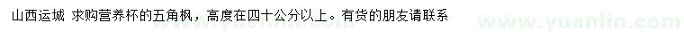 求购高40公分以上五角枫