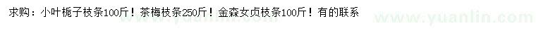 求购小叶栀子枝条、茶梅枝条、金森女贞枝条