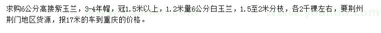 求购6公分紫玉兰、白玉兰