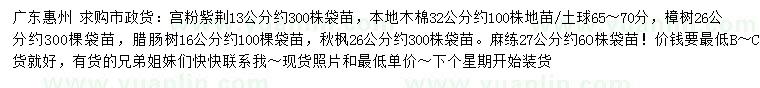 求购宫粉紫荆、本地木棉、樟树等