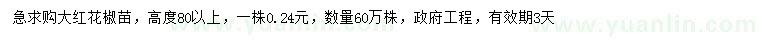 求购高度80以上大红花椒苗