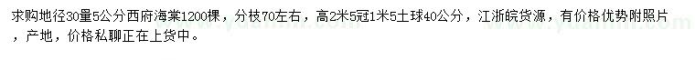 求购地径30量5公分西府海棠