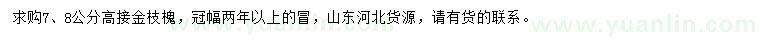 求购7、8公分高接金枝槐