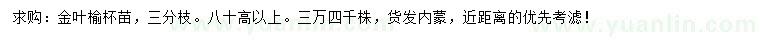 求购高80公分以上金叶榆杯苗