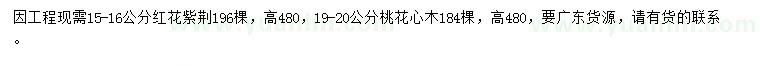 求购15-16公分红花紫荆、19-20公分桃花心木