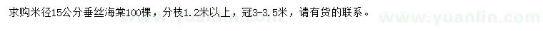 求购米径15公分垂丝海棠