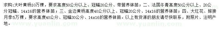 求购大叶黄杨、法国冬青、金边黄杨等