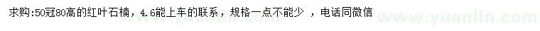 求购高80公分红叶石楠