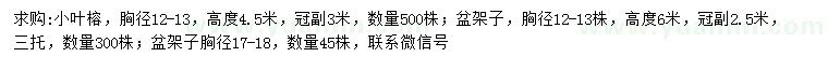 求购胸径12-13公分小叶榕、12-13、17-18公分盆架子