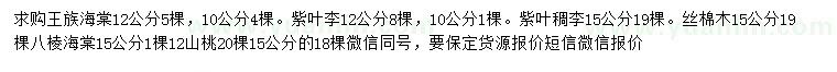 求购王族海棠、紫叶李、紫叶稠李等