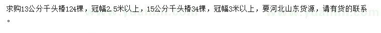 求购13、15公分千头椿