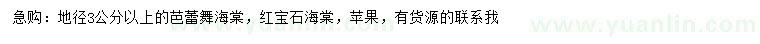 求购芭蕾舞海棠、红宝石海棠、苹果