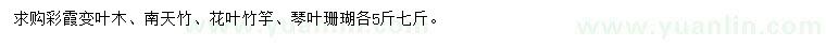 求购彩霞变叶木、南天竹、花叶竹竽等