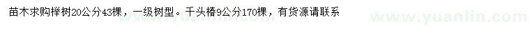 求购20公分榉树、9公分千头椿