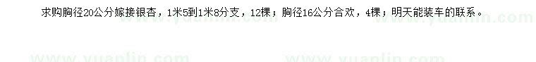 求购胸径20公分嫁接银杏、16公分合欢