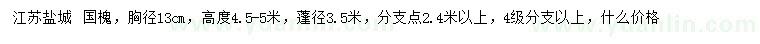 求购胸径13公分国槐