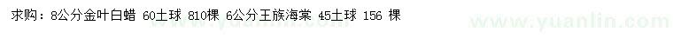 求购8公分金叶白蜡、6公分王族海棠