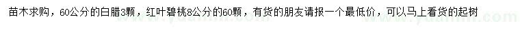 求购60公分白腊、8公分红叶碧桃